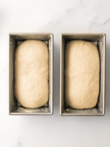 Dough in loaf tins.