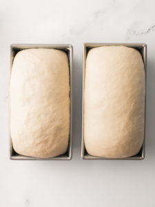 Dough in loaf tins.