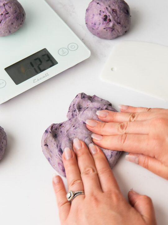 Blueberry Bagels.