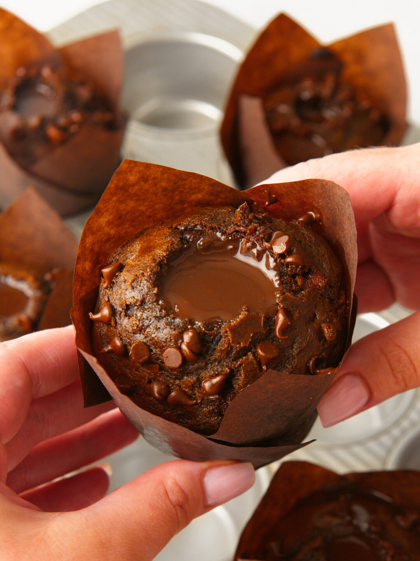 Double Chocolate Muffins.