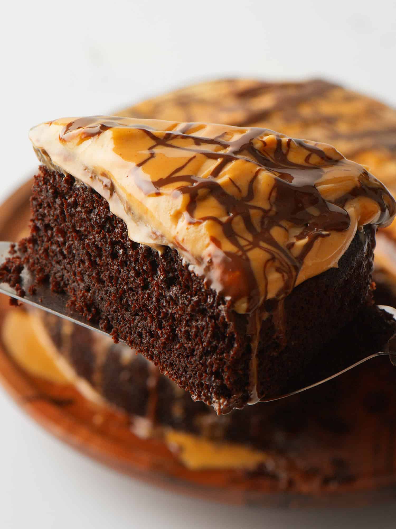 Chocolate Peanut Butter Cake-17